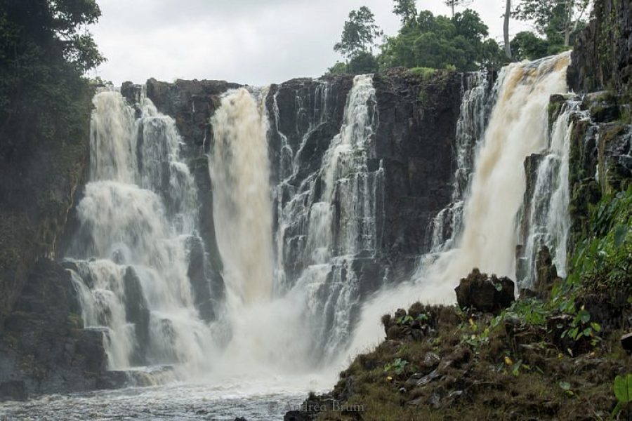 Parc National d’Ivindo