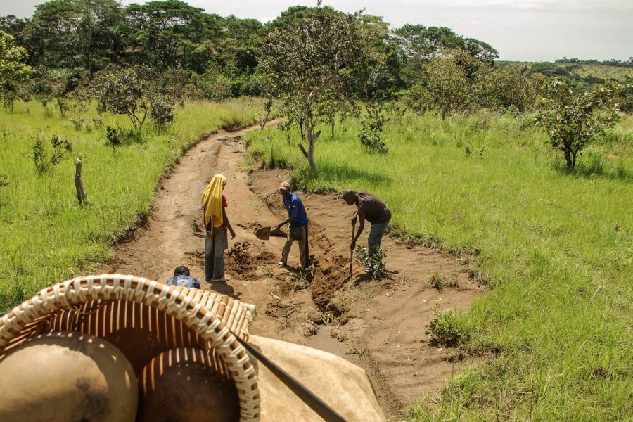 Traversée des Plateaux Batéké